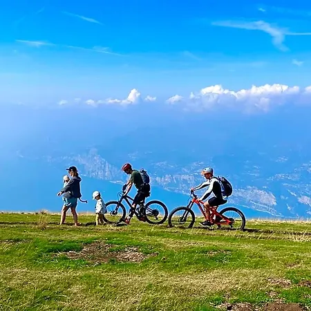Panorama 4*